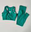 2PC Sports Bra and Leggings Yoga Set image 1